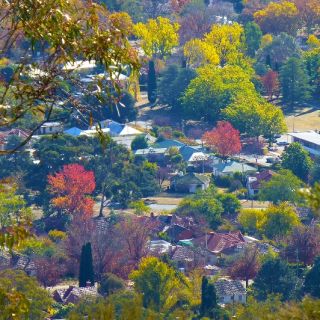 A Canberra suburb taken from an elevated view featuring Autumn-coloured trees