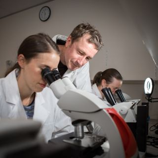 The University of Canberra has received $75,000 from the Discovery Translation Fund 2.0 for its Genetic Ancestry Laboratory project