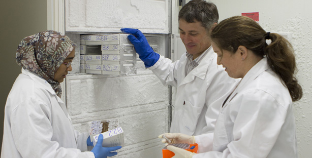 Three scientists remove samples from a freezer