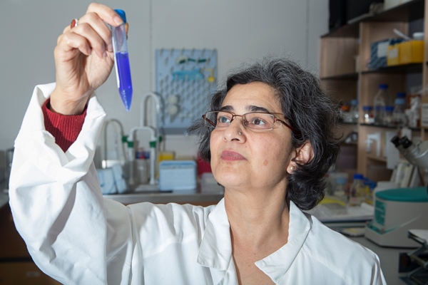 UC Associate Professor Reena Ghildyal at work in her lab