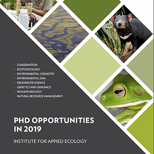 university of canberra phd programs